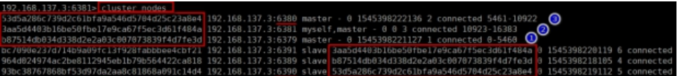 image-20220204185612265