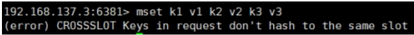 image-20220204220229372